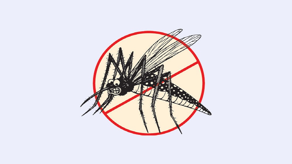 ২৪ ঘণ্টায় নতুন করে ১৯০ জন ডেঙ্গু রোগী হাসপাতালে