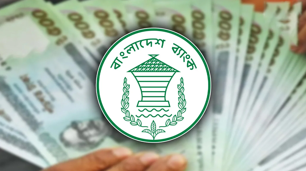 ১৭ দিনে এসেছে সাড়ে ১৯ হাজার কোটি টাকার রেমিট্যান্স