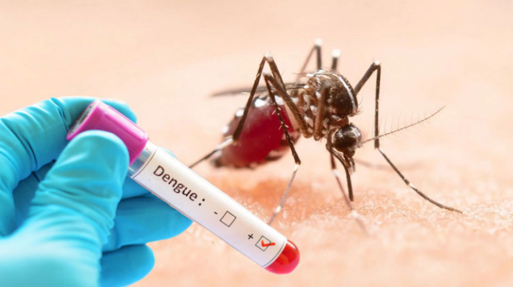 ডেঙ্গুতে আরও ৩ জনের মৃত্যু, হাসপাতালে ভর্তি ৪৭৩