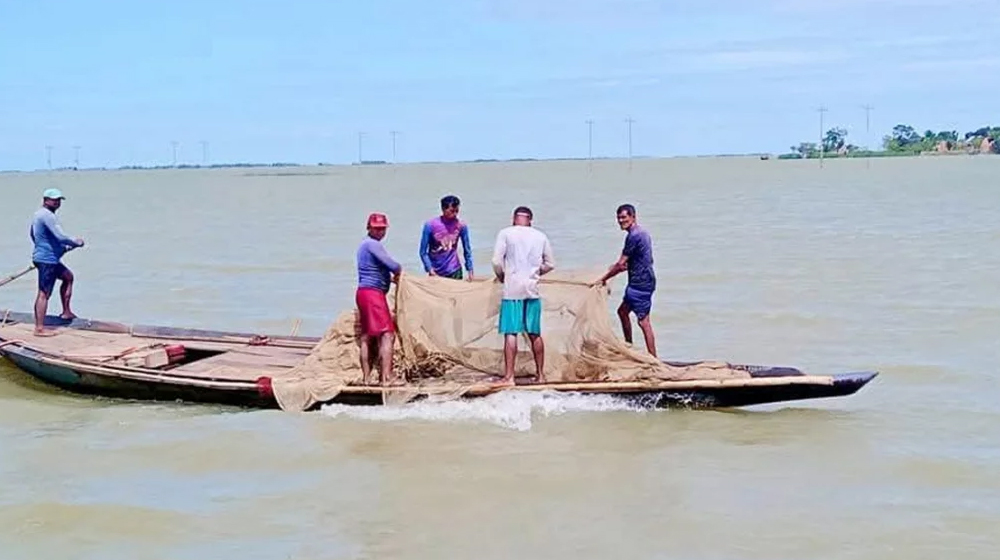 হাওরের জলে বিষ, হুমকির মুখে শত কোটি টাকার মৎস্যসম্পদ