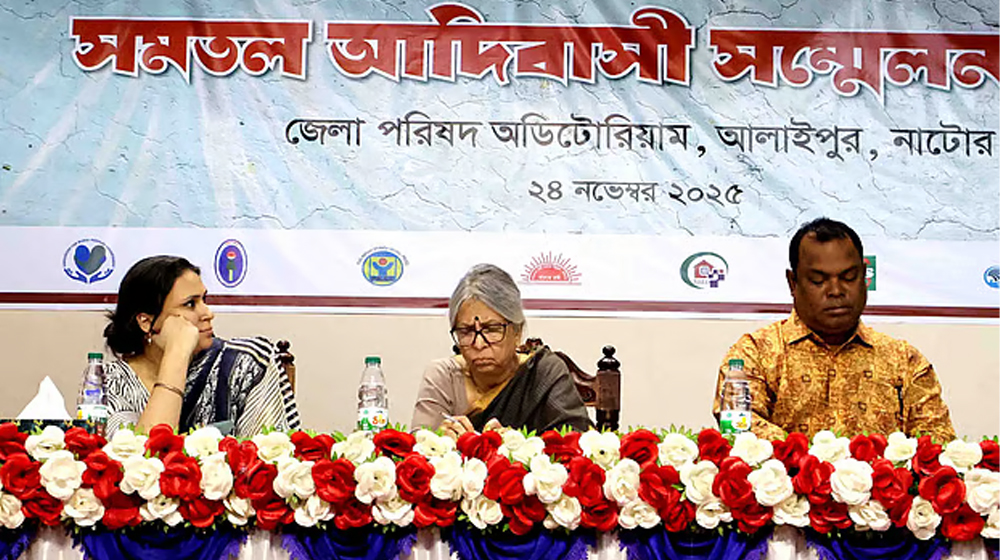 মানবাধিকার লঙ্ঘিত হলেই দেশে শান্তি লঙ্ঘিত হবে: সুলতানা কামাল