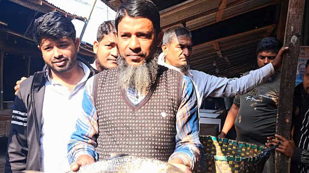 এক ইলিশের দাম ৮ হাজার টাকা