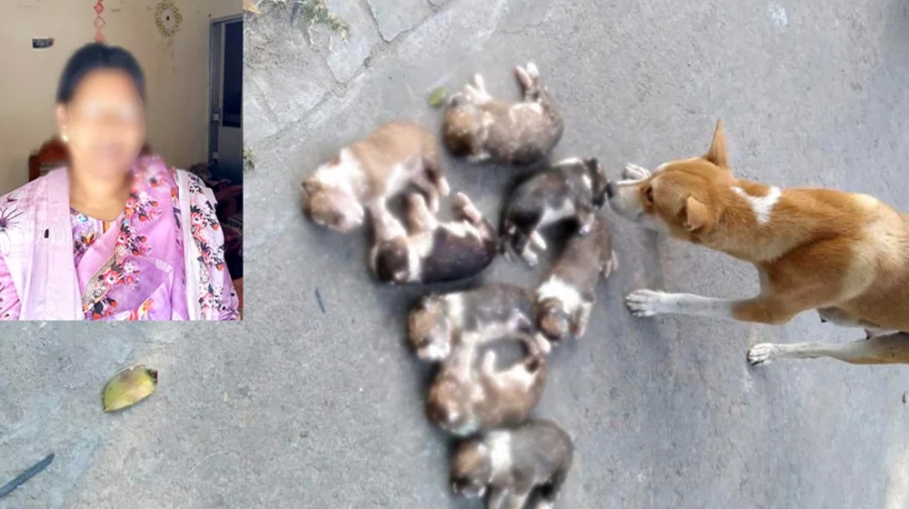 ৮ কুকুরছানা পানিতে ডুবিয়ে হত্যার দায়ে নিশি খাতুন গ্রেপ্তার