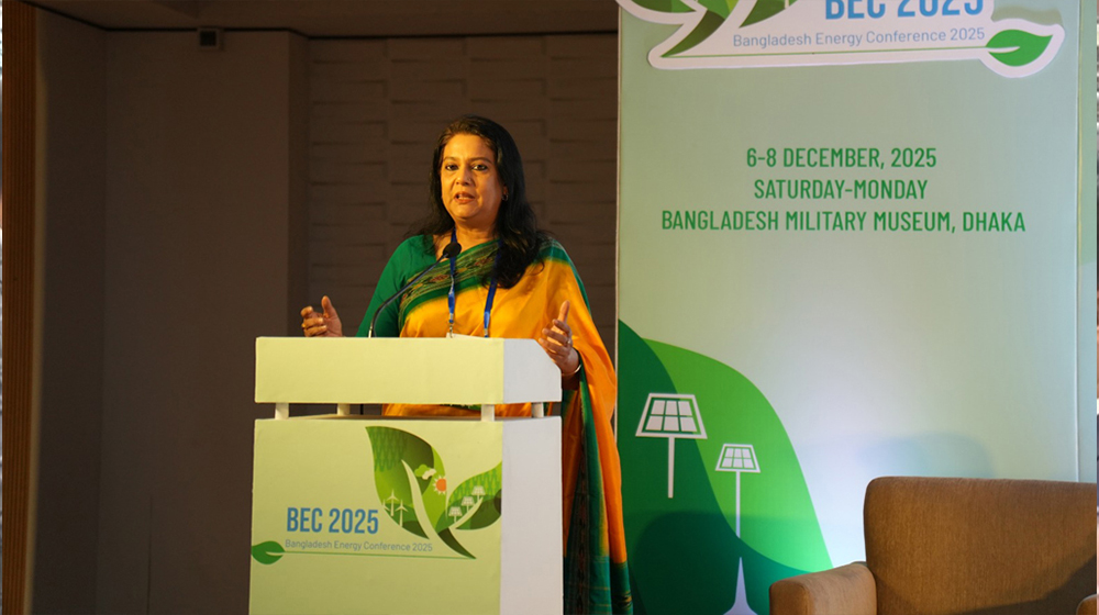 ‘রাতারাতি’ নবায়নযোগ্য জ্বালানিতে ‘জাম্প’সম্ভব না: পরিবেশ উপদেষ্টা