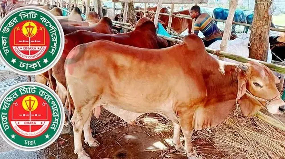 ঈদুল আজহায় ঢাকায় ২৬ পশুর হাট, দক্ষিণে ১৩ ও উত্তরে ১৩টি