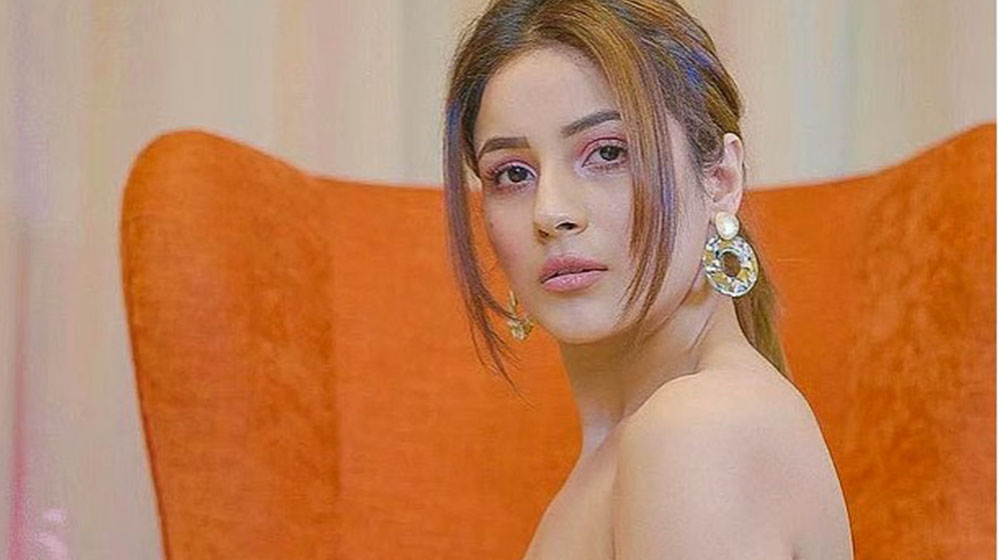 প্রেমে মজেছেন শেহনাজ