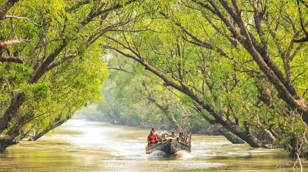 ৩ মাস সুন্দরবনে প্রবেশে নিষেধাজ্ঞা, ১ জুন থেকে কার্যকর