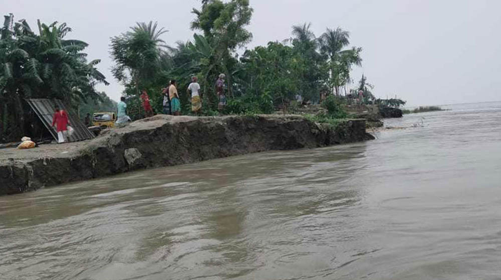 যমুনায় পানি বাড়ায় সিরাজগঞ্জে ভাঙন ও ফসলহানির শঙ্কা