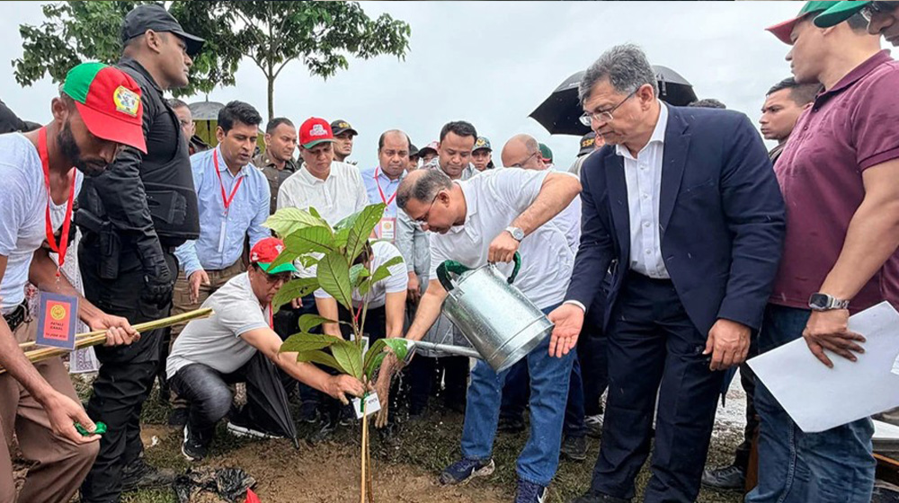 দেশব্যাপী ২৫ কোটি বৃক্ষরোপণ কর্মসূচির উদ্বোধন করলেন প্রধানমন্ত্রী