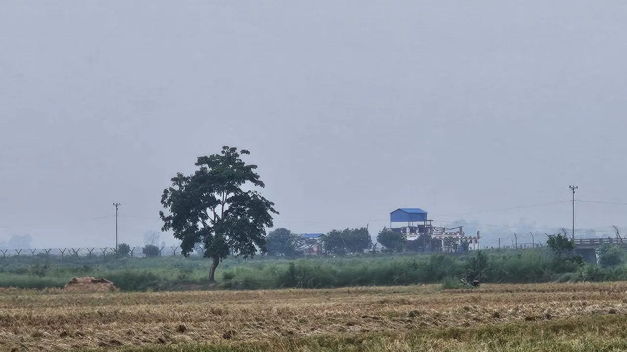 শূন্য রেখায় থাকা সেই ১৭ জনকে ফিরিয়ে নিল বিএসএফ