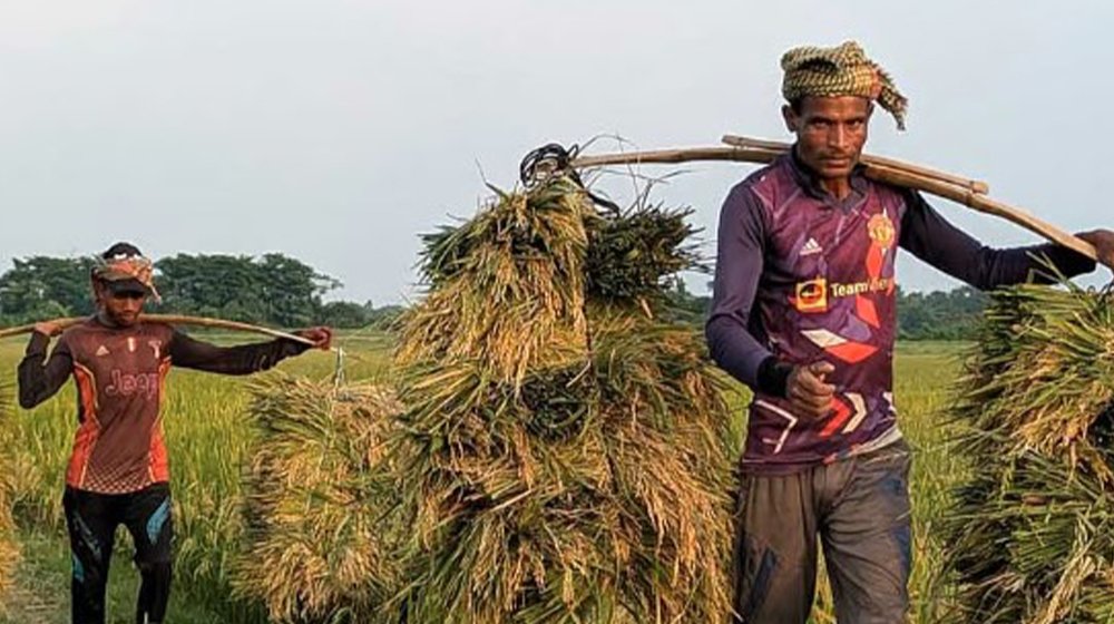 উত্তরাঞ্চলে কৃষির উন্নয়নে ৩০০০ কোটি টাকার তহবিল গঠন