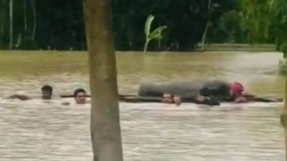 বন্যার কারণে ভেলায় ভাসিয়ে লাশ নেওয়া হলো ২ কিমি দূরের কবরস্থানে