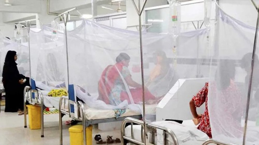 ডেঙ্গুতে আরও ৪ জনের মৃত্যু